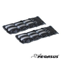 Βάρη Άκρων 2x2.0kg Pegasus® Β-2112-20